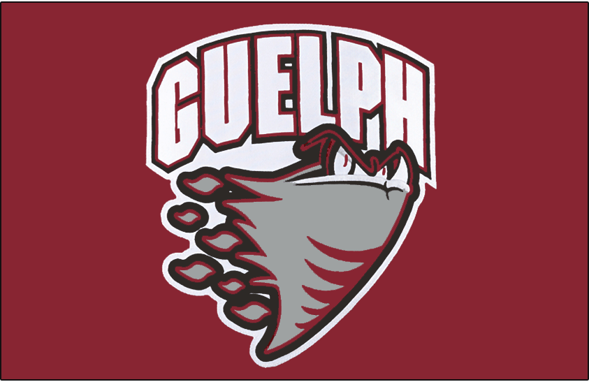 Guelph Storm 2007-2018 Jersey Logo iron on transfers for clothing